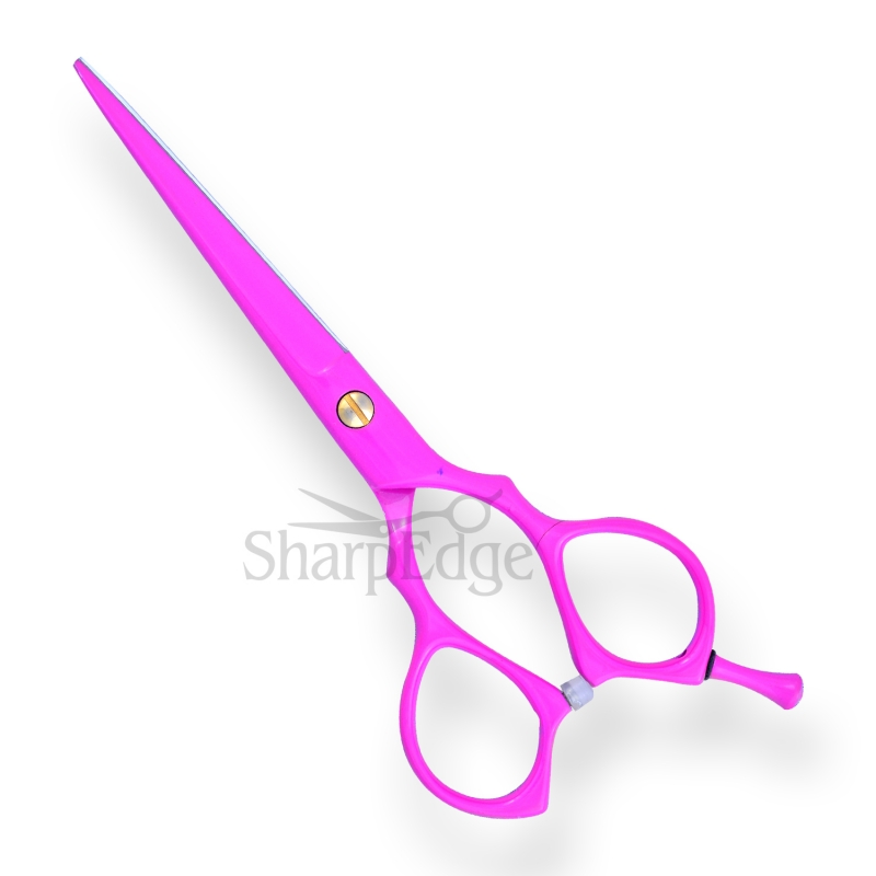 Professional Hair Dressing Scissors 